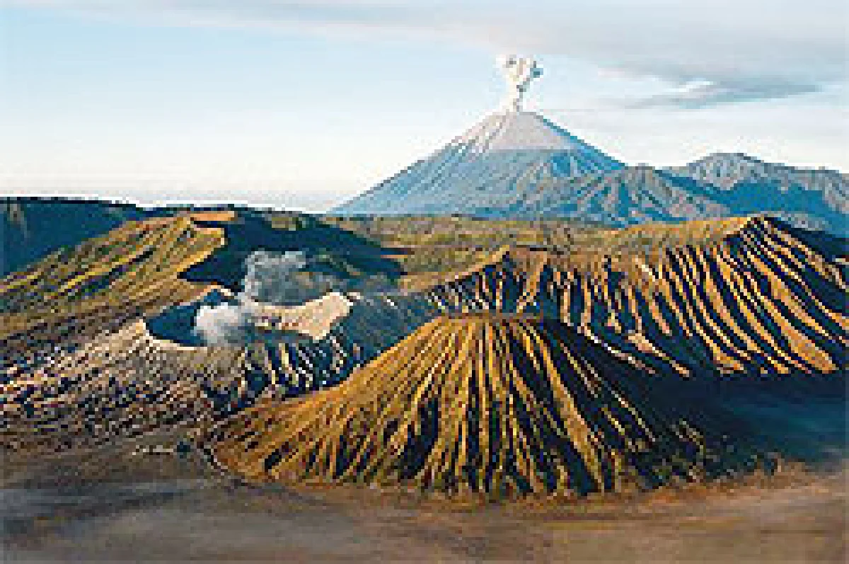 แชมป์ภูเขาไฟ