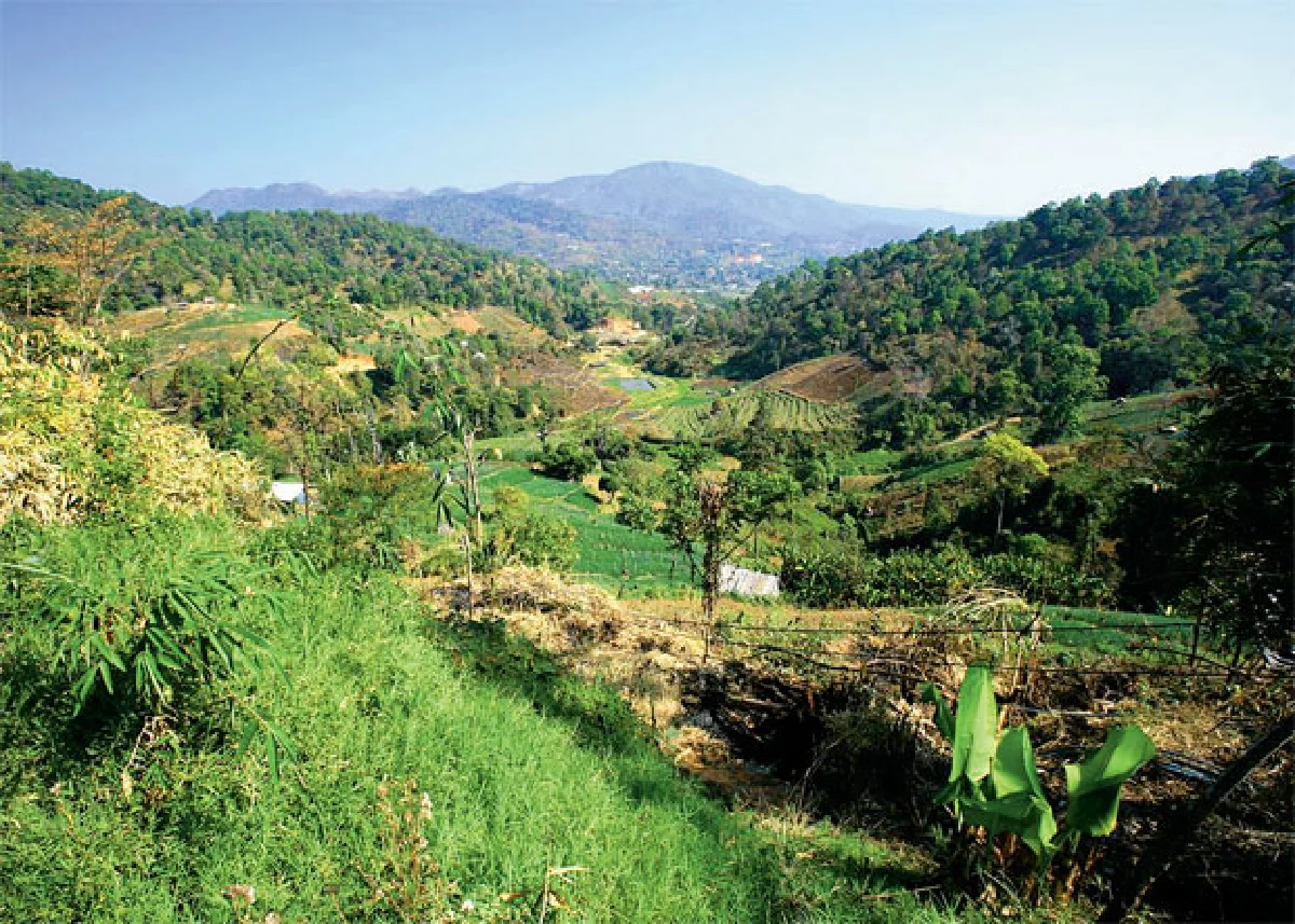 ‘ย่างพระบาทที่ยาตรา’ 50 ปีหลังภาพของแผ่นดิน