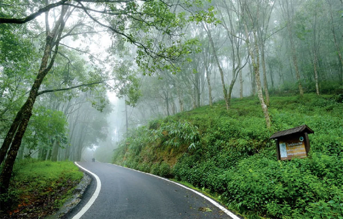 ‘ย่างพระบาทที่ยาตรา’ 50 ปีหลังภาพของแผ่นดิน