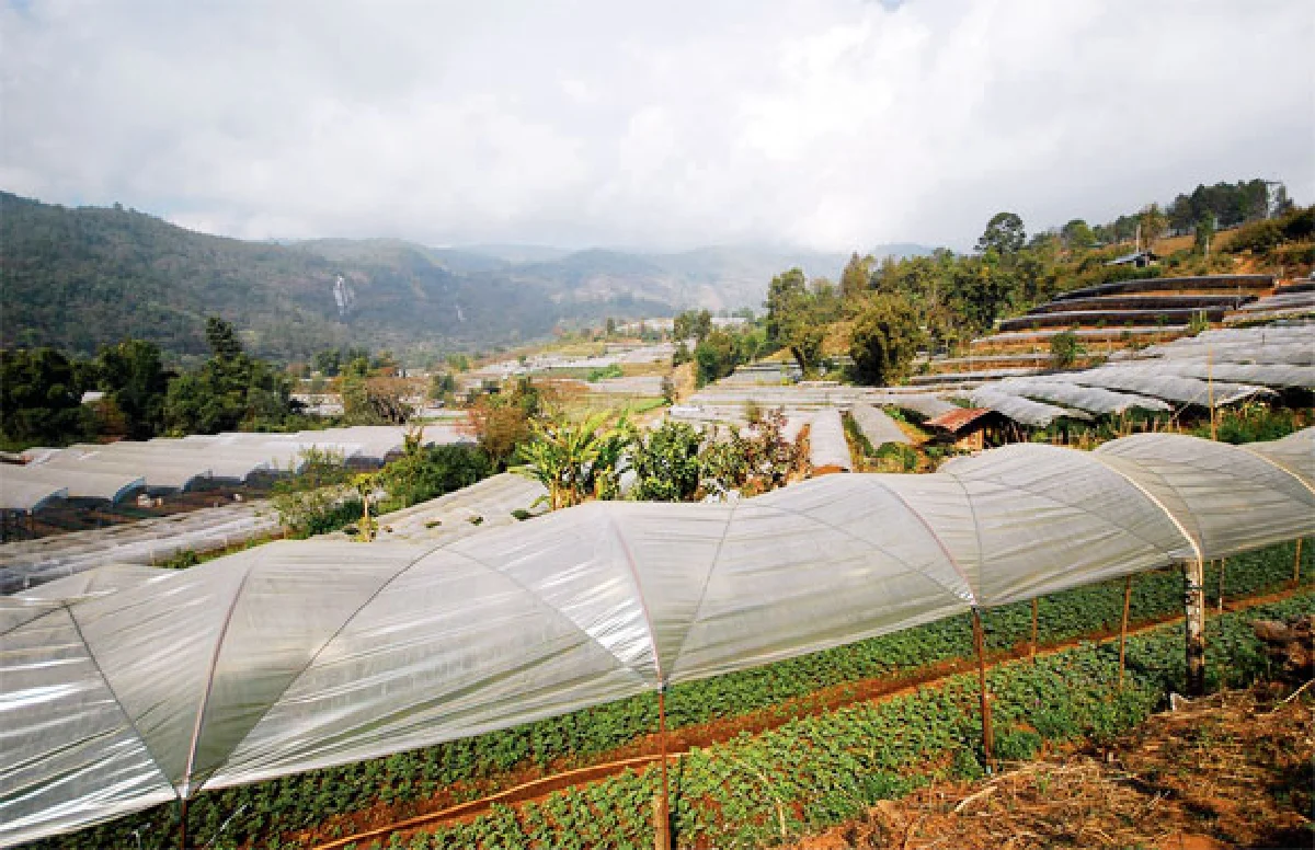 ‘ย่างพระบาทที่ยาตรา’ 50 ปีหลังภาพของแผ่นดิน