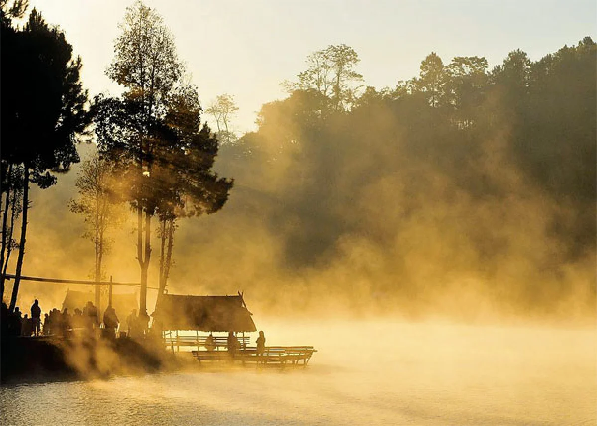 ‘ย่างพระบาทที่ยาตรา’ 50 ปีหลังภาพของแผ่นดิน
