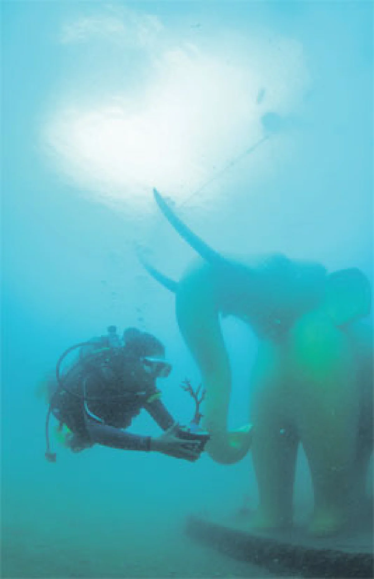 รักษ์แผ่นดิน ศิลปินเพื่อสิ่งแวดล้อม