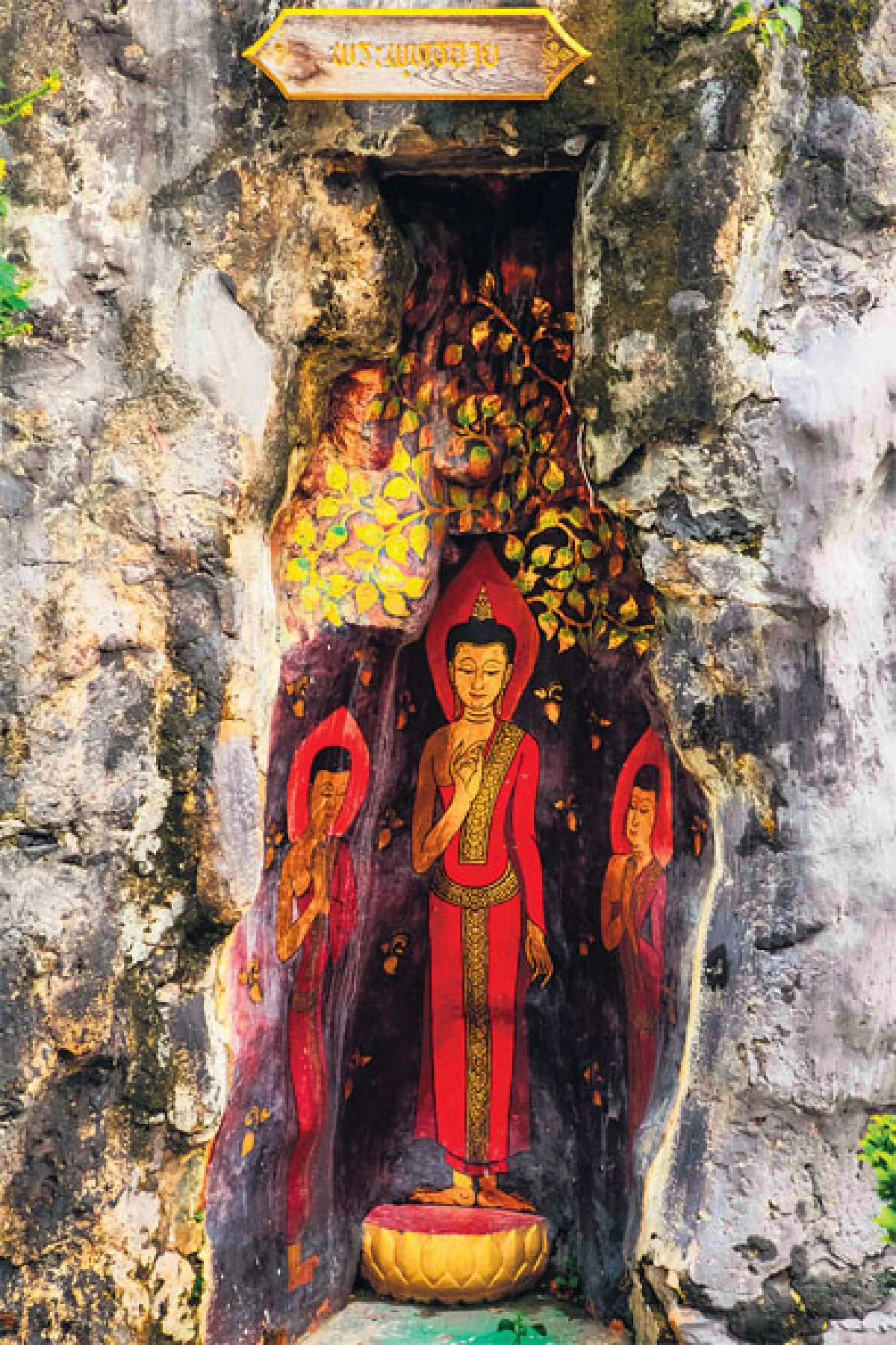 ชมเพลิน ยามลมหนาวมาเยือน วัดประยุรวงศาวาสวรวิหาร