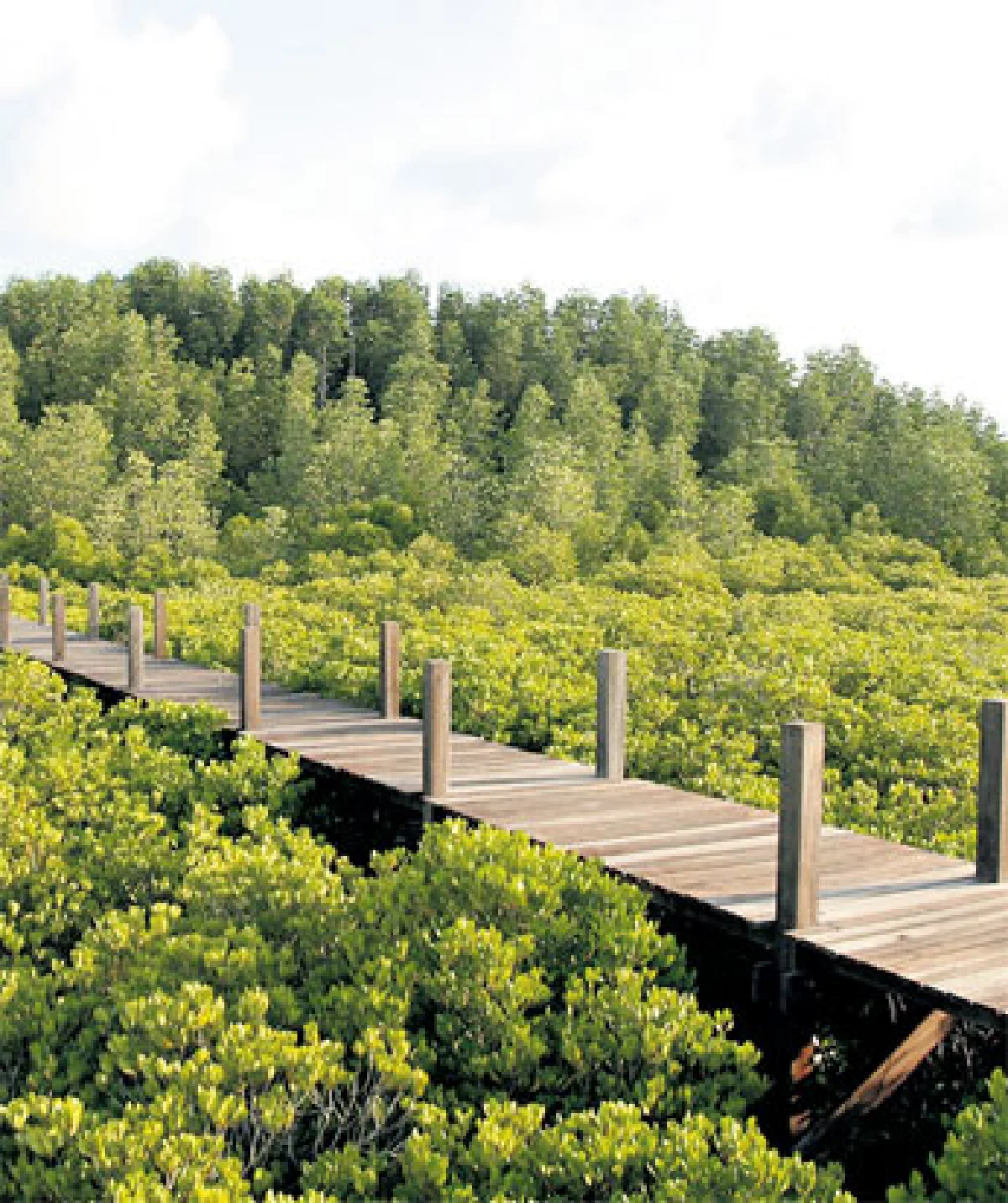 เดินเลาะเรือนไม้ รับไอทะเล @ ปากน้ำประแสร์