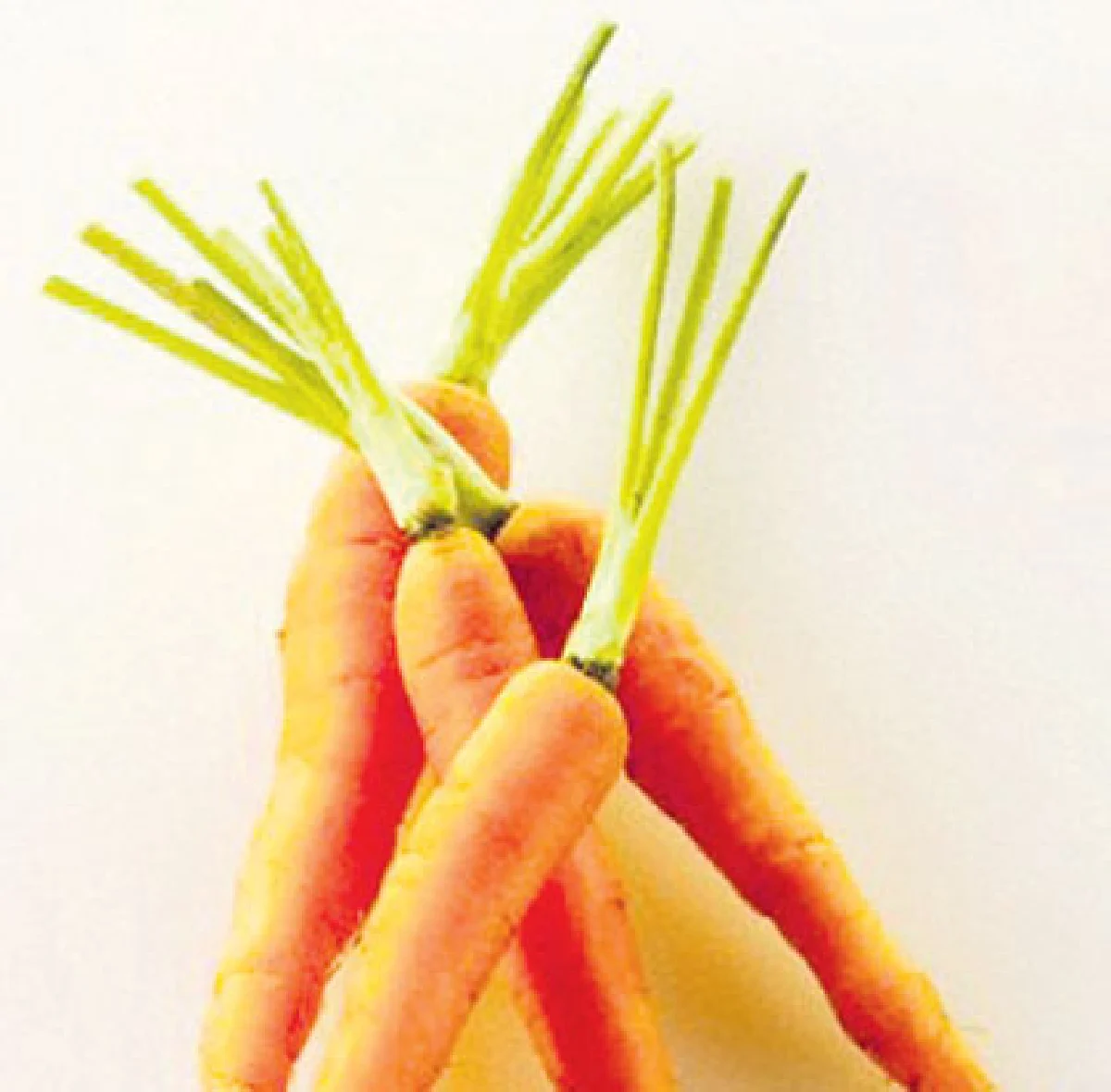 เผยความลับแครอต ช่วยอสุจิแข็งแกร่ง