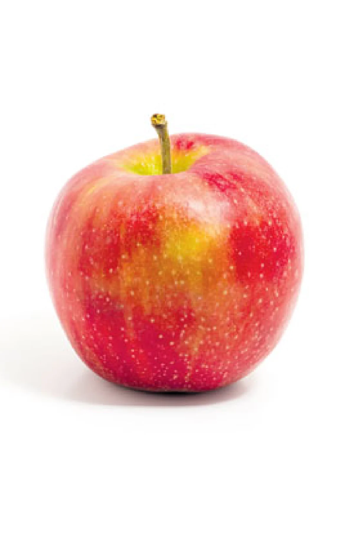 อาหารบำบัดสำหรับผู้ป่วยมะเร็ง (2)