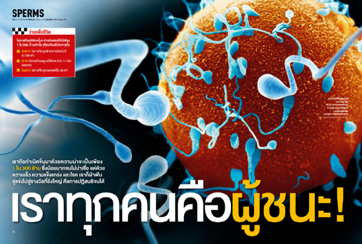 เราทุกคนคือผู้ชนะ! เราทุกคนคือผู้ชนะ!