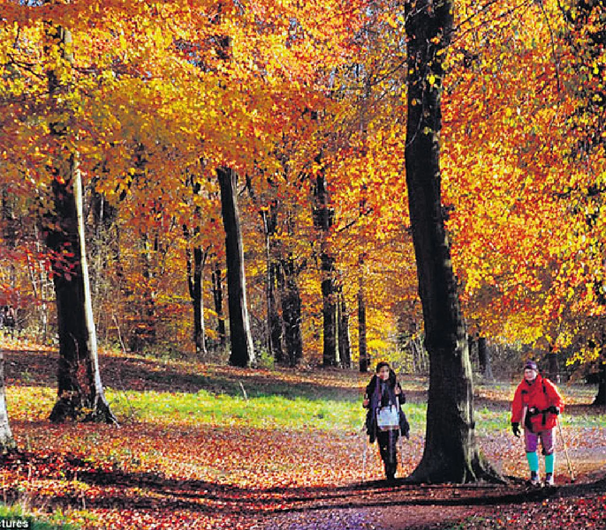 ก่อนเหมันต์เยือน