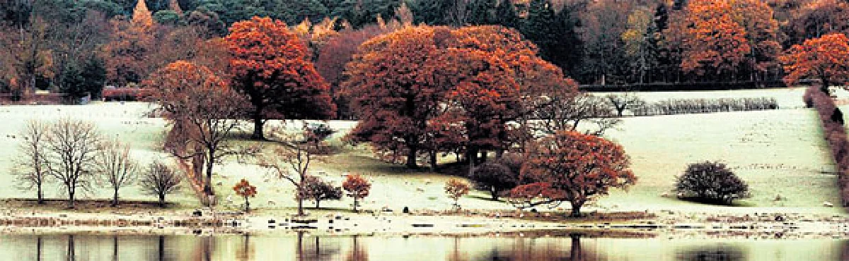 ก่อนเหมันต์เยือน