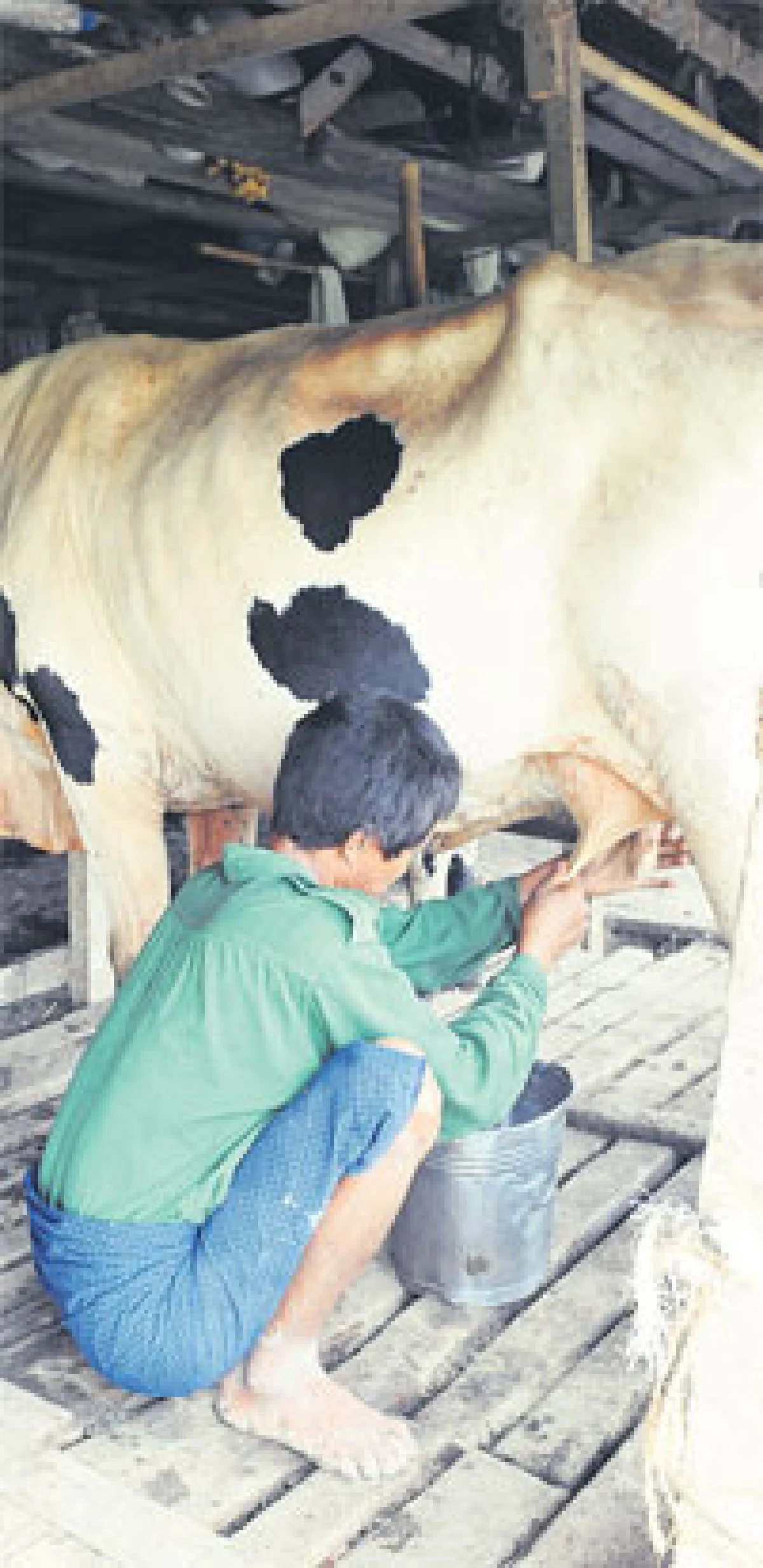 AEC กำลังจะเปิด โอกาสกำลังจะเกิด