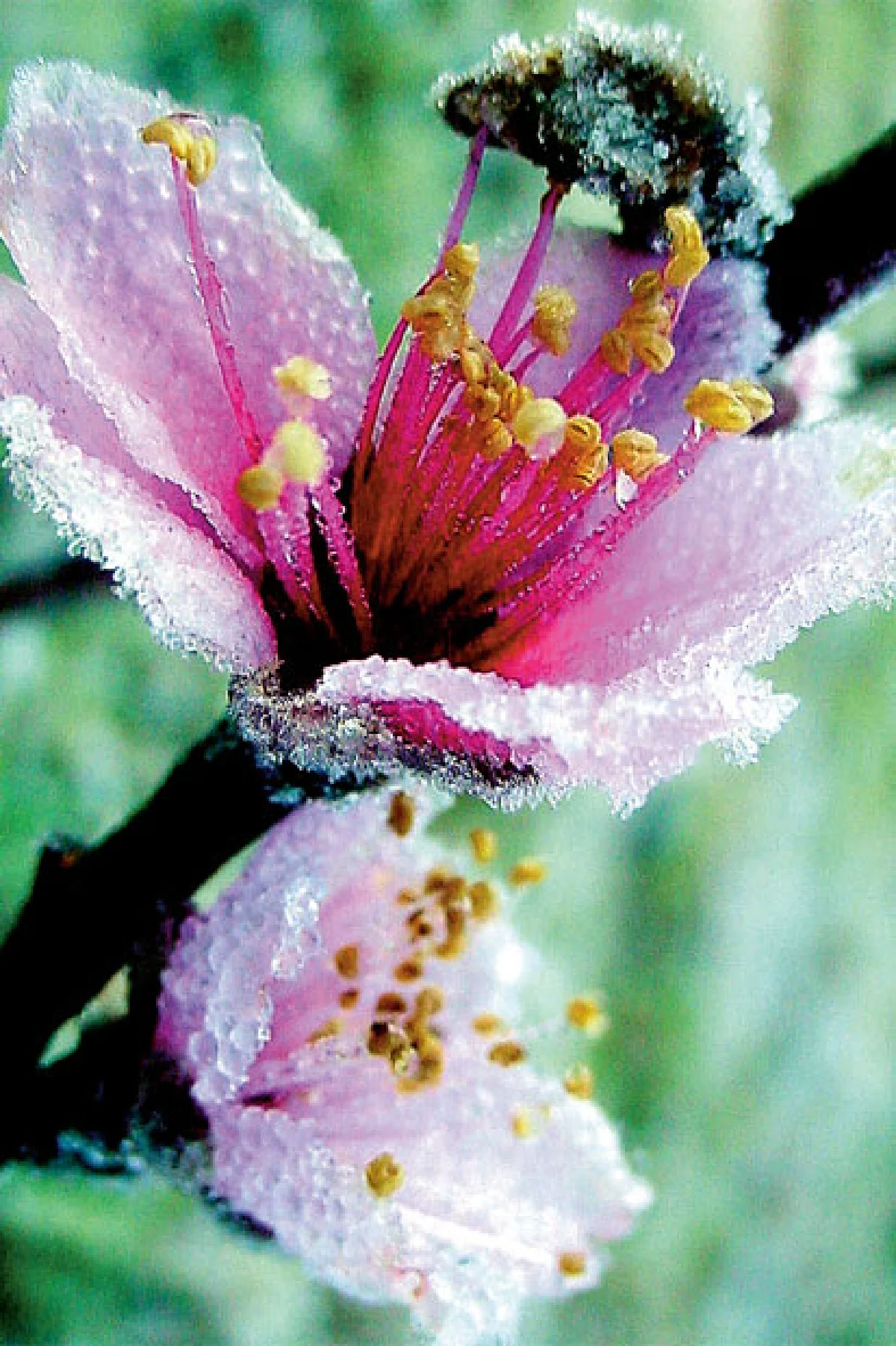 หน้าหนาวของเรา... หายไปไหน?