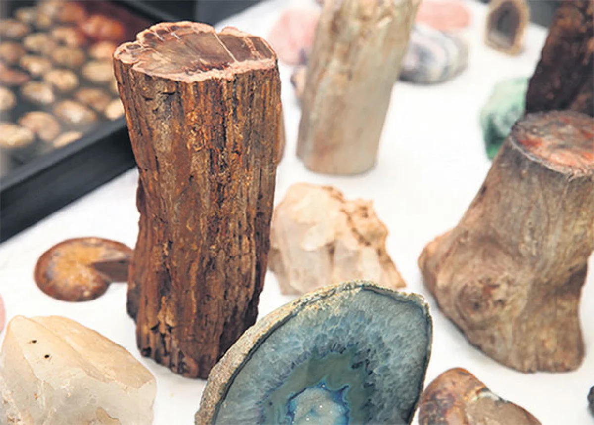 วีระวัฒน์ ศักดิ์ธนะเศรษฐ นักสะสมพระและหินโบราณอายุนับล้านปี