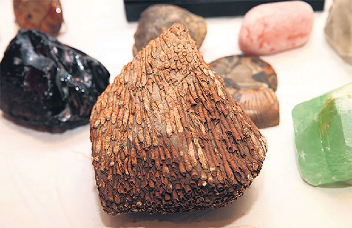 วีระวัฒน์ ศักดิ์ธนะเศรษฐ นักสะสมพระและหินโบราณอายุนับล้านปี