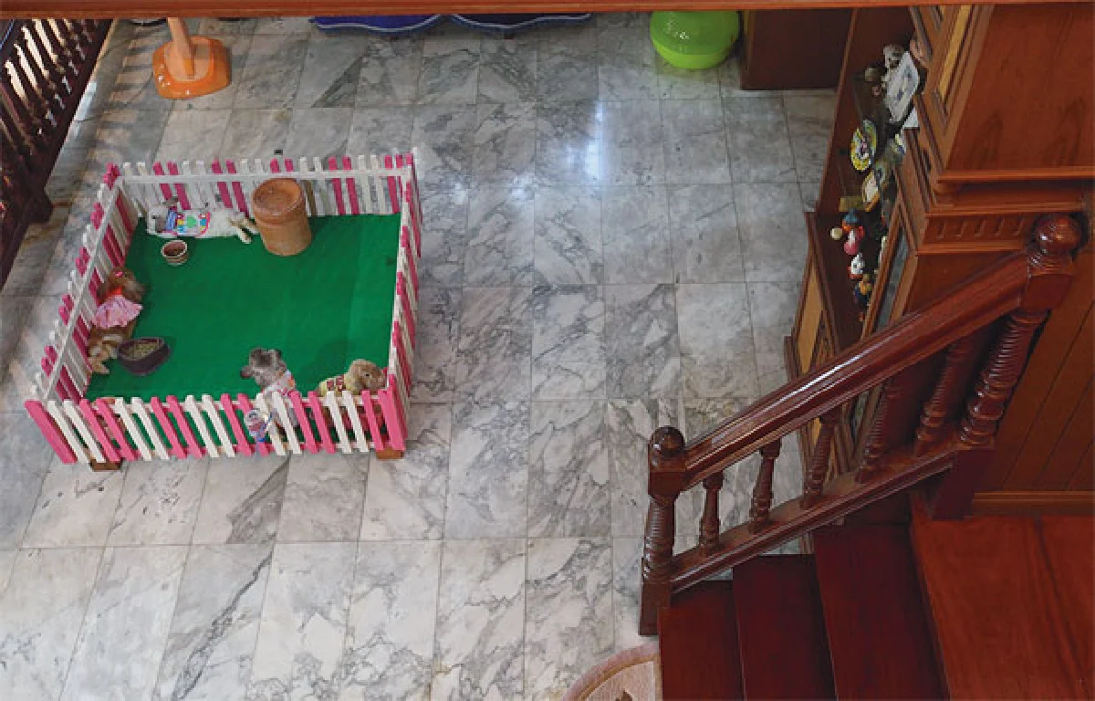 บ้านครอบครัวสุขสันต์ มิลค์ แคนดี้มาเฟีย