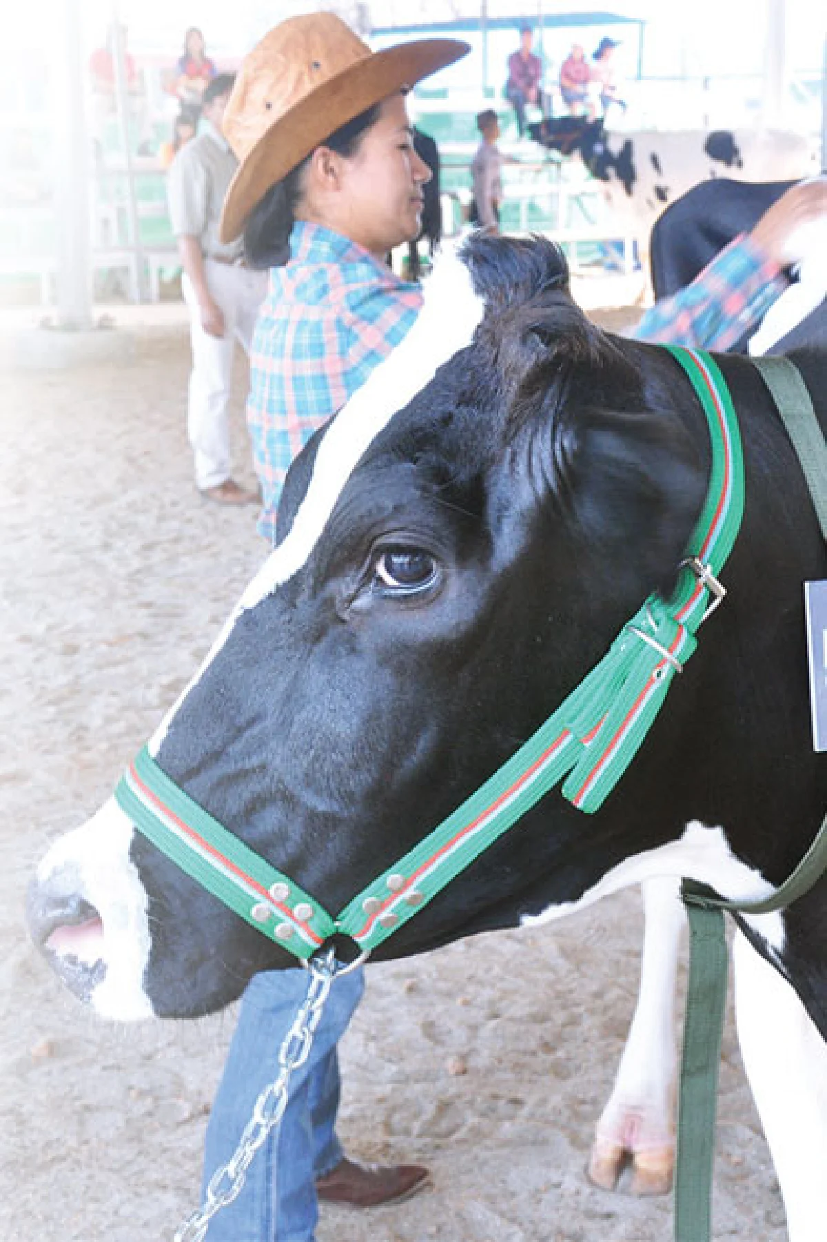 ขยายตลาดและเพิ่มโอกาสอุตสาหกรรมโคนมไทยใน AEC