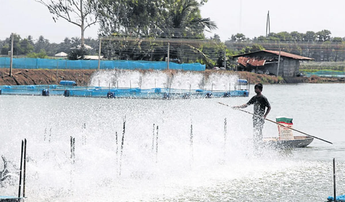 Co-Culture เลี้ยงสัตว์น้ำ 3 in 1