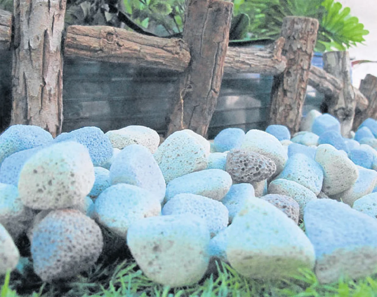 นาโนเทคโนโลยี 'ในบ้าน' จากไทย...สู่เวทีโลก