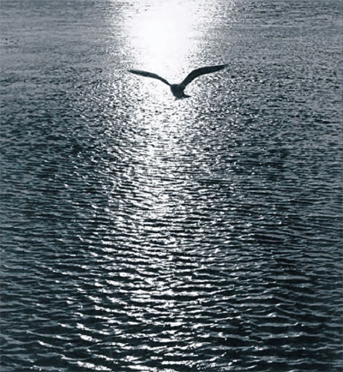 เชิดชูบรมครูช่างภาพไทย