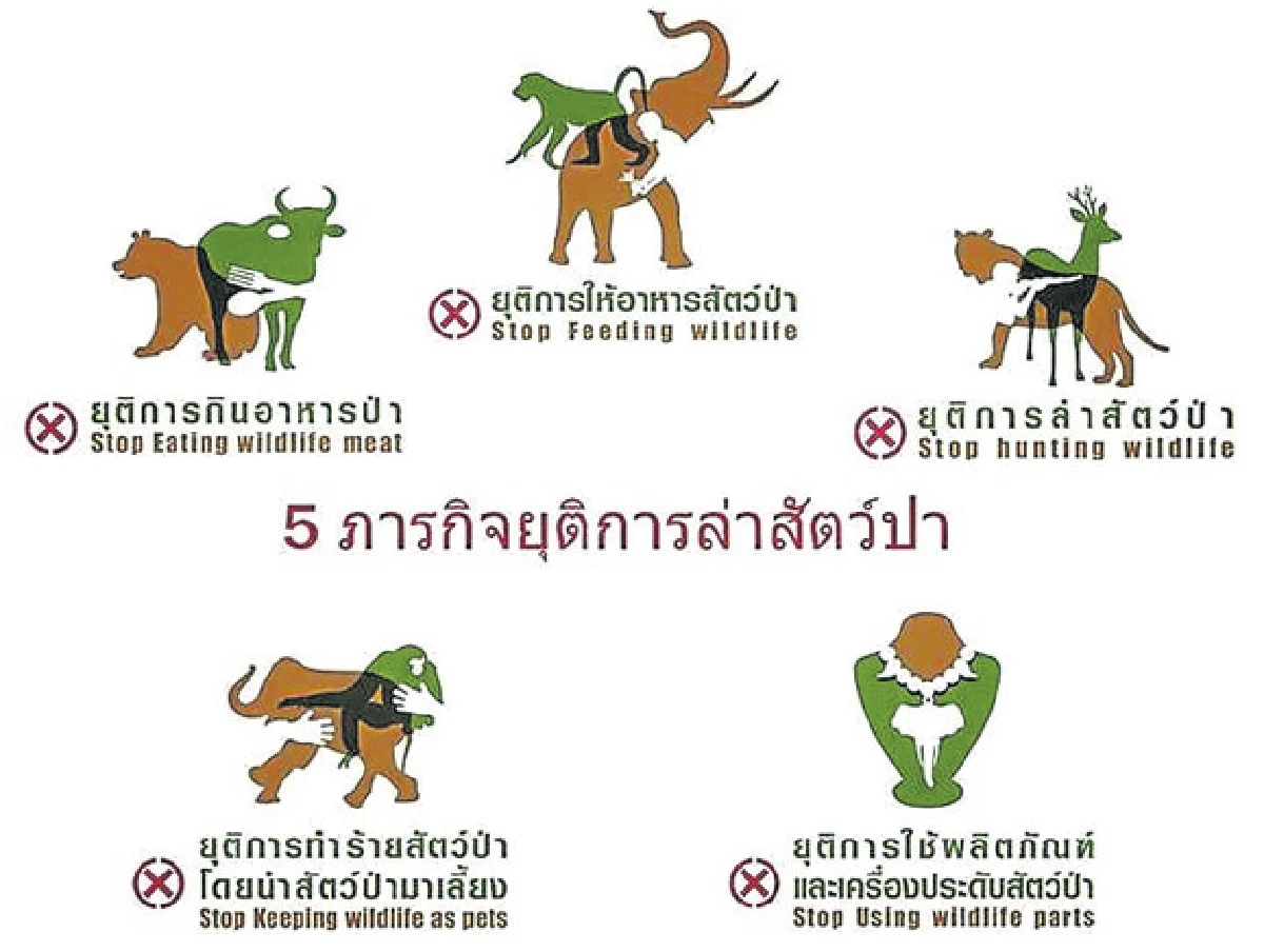 เที่ยวปีใหม่ ไม่รบกวนสัตว์ป่า