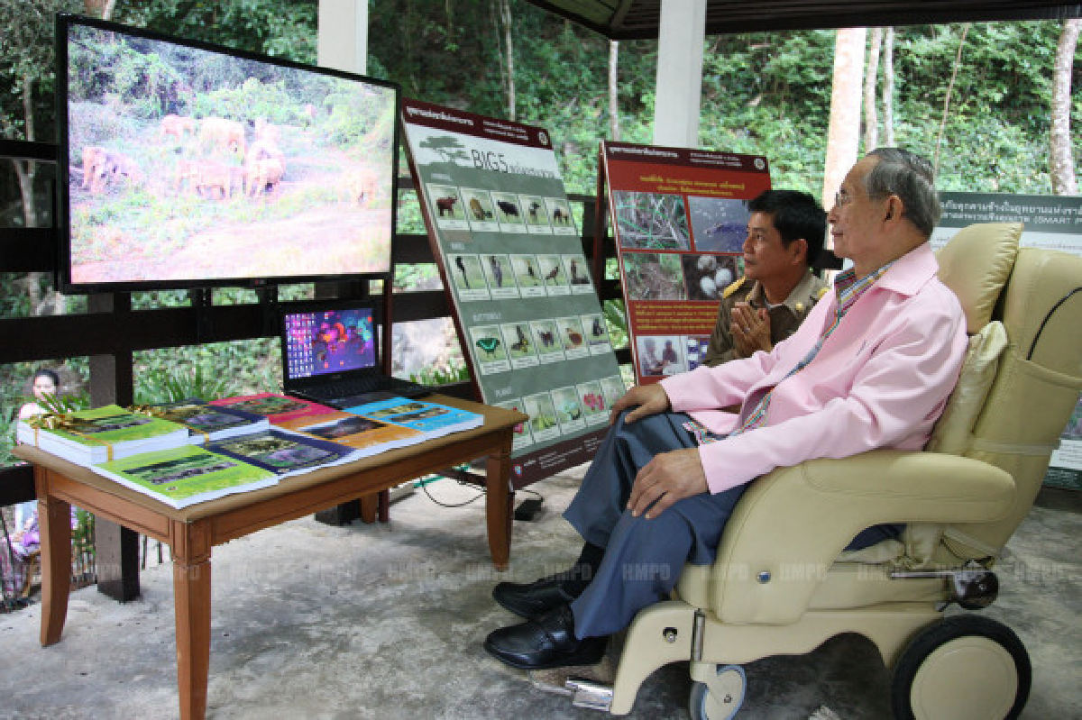ในหลวงพระพักตร์แจ่มใสเสด็จฯน้ำตกป่าละอู ในหลวงพระพักตร์แจ่มใสเสด็จฯน้ำตกป่าละอู