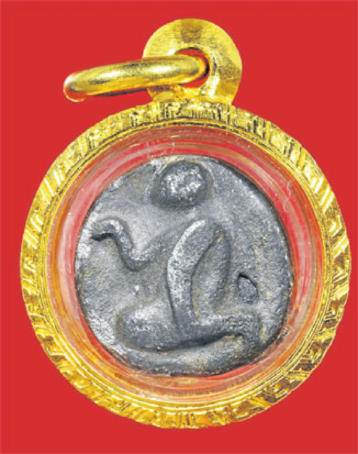 นพดล เชิญตระกูล ผู้ตามรอยปฏิปทา พระอาจารย์ฝั้น อาจาโร