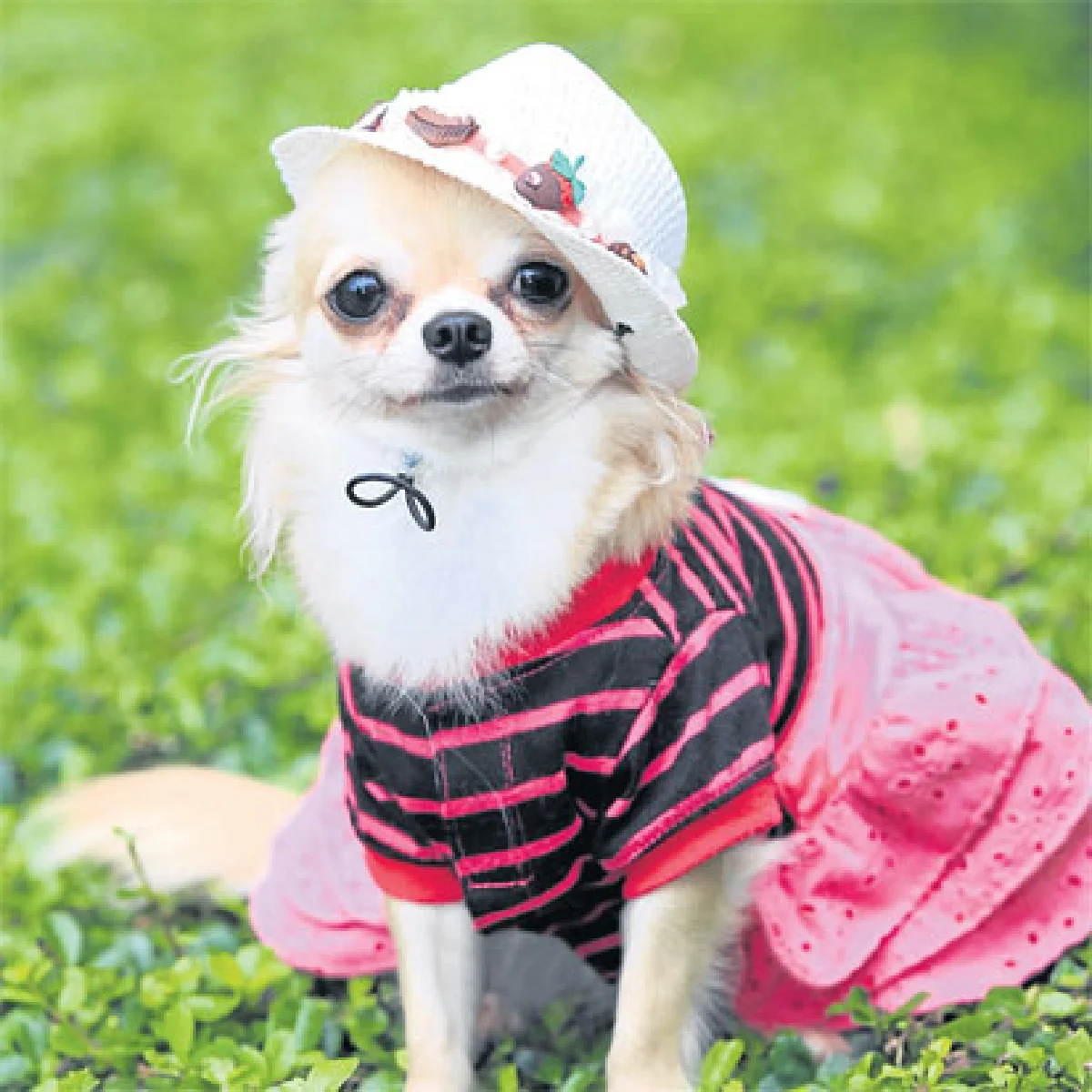 ลีเดีย ภูมิแพ้น้องบู