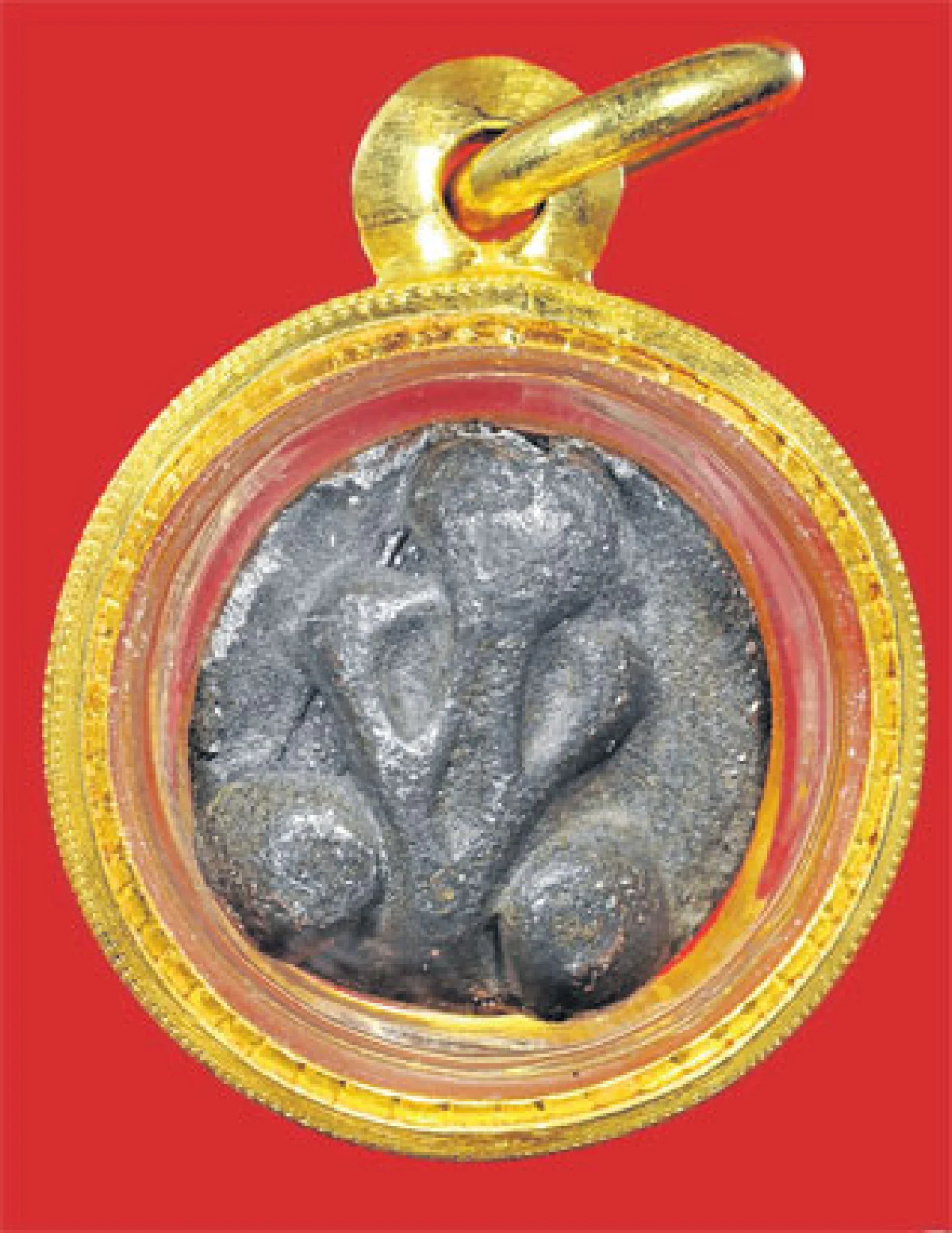 นพดล เชิญตระกูล ผู้ตามรอยปฏิปทา พระอาจารย์ฝั้น อาจาโร