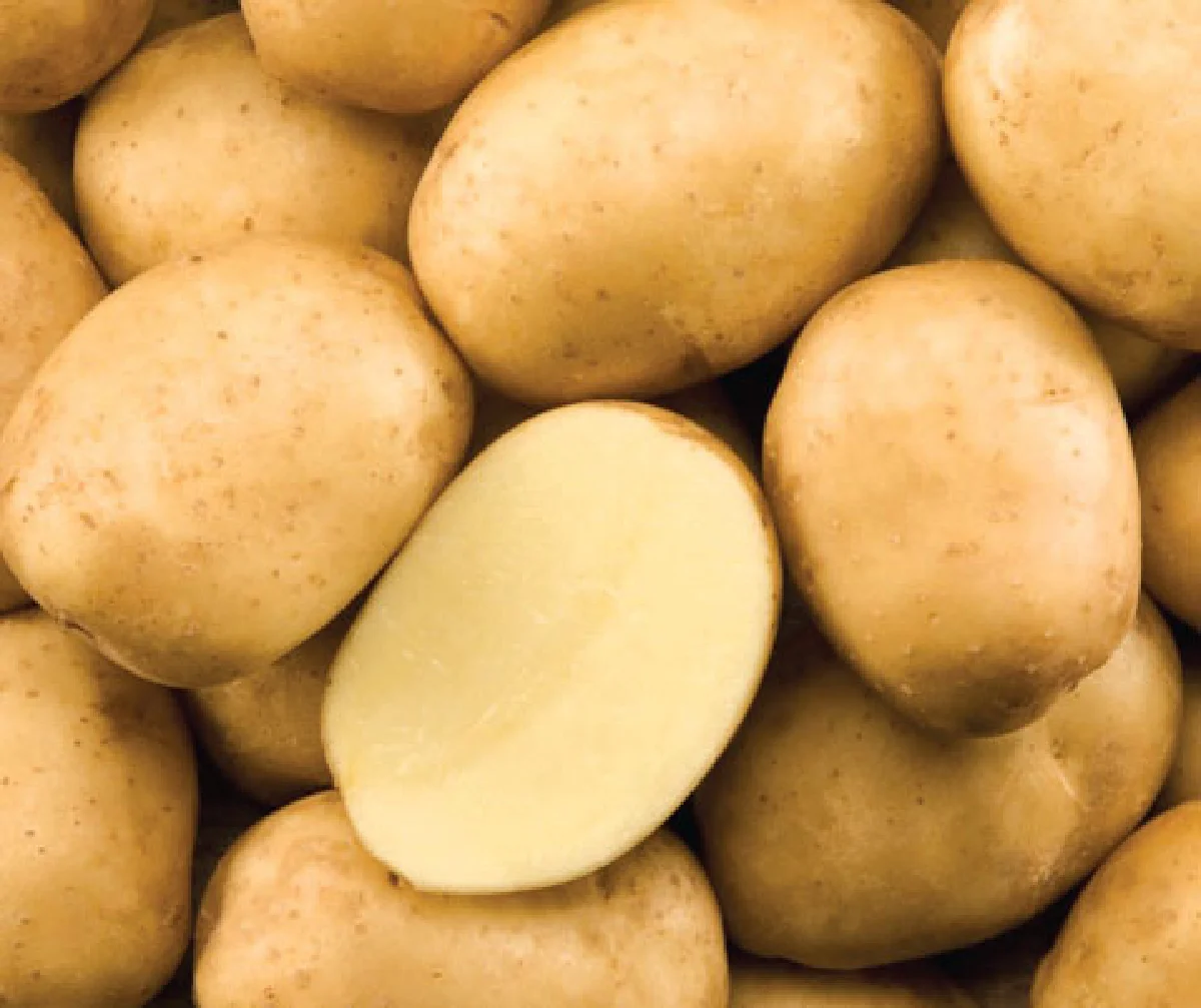 มันมีดี