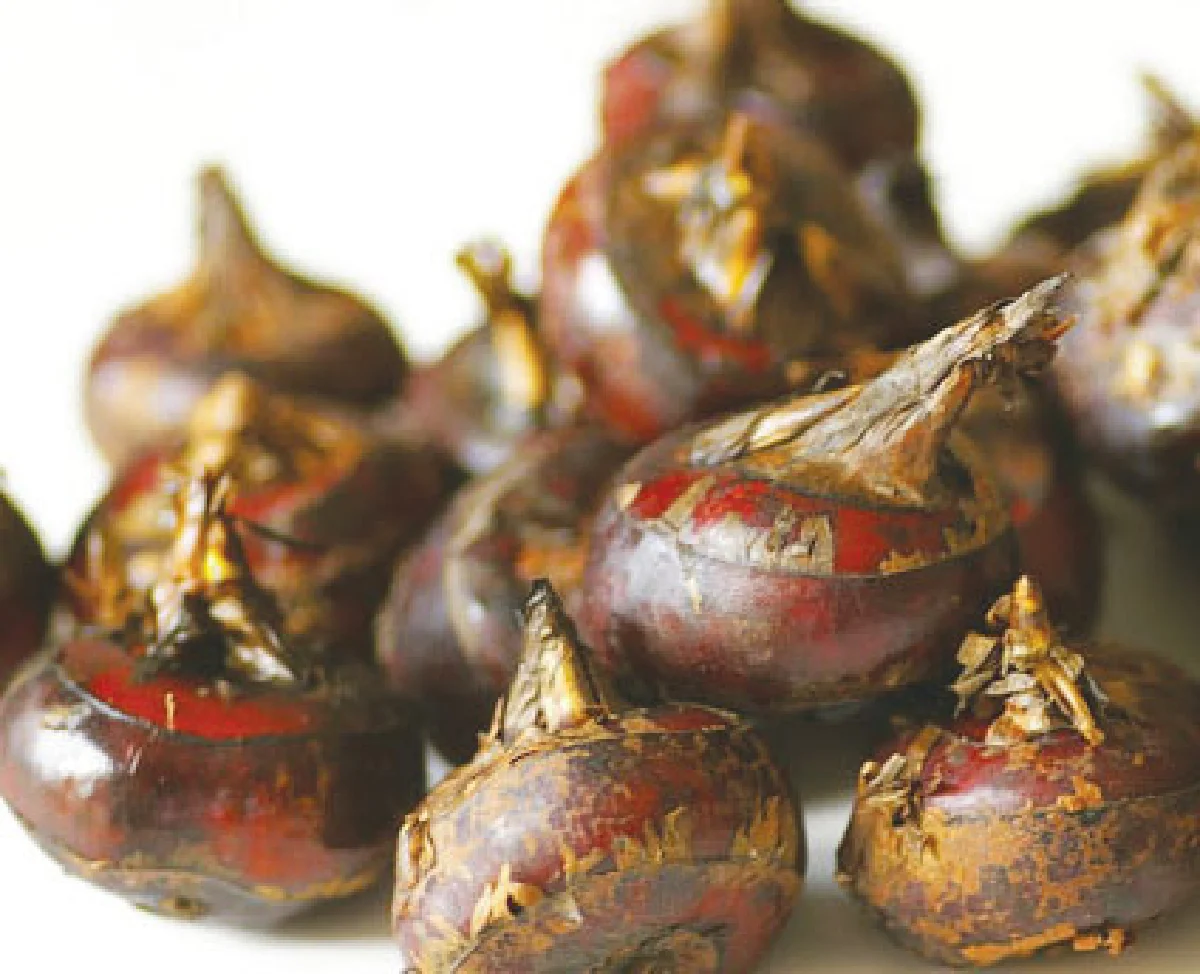 มันมีดี