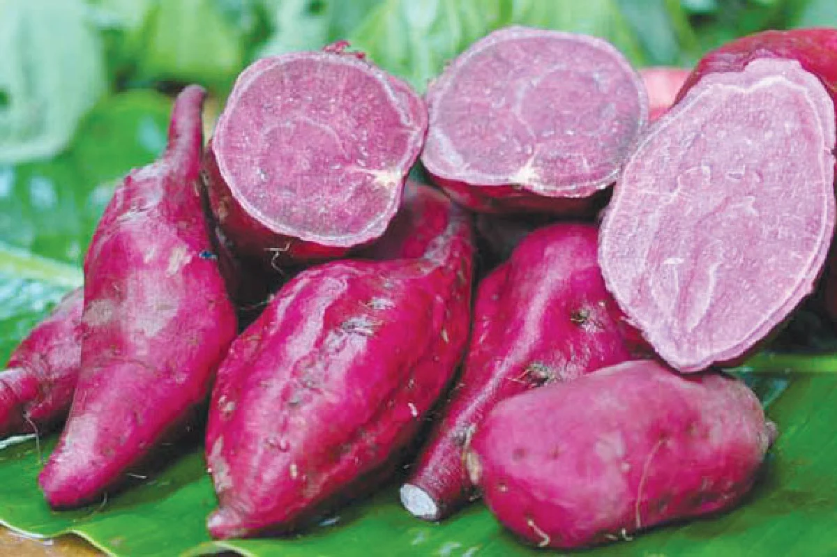 มันมีดี