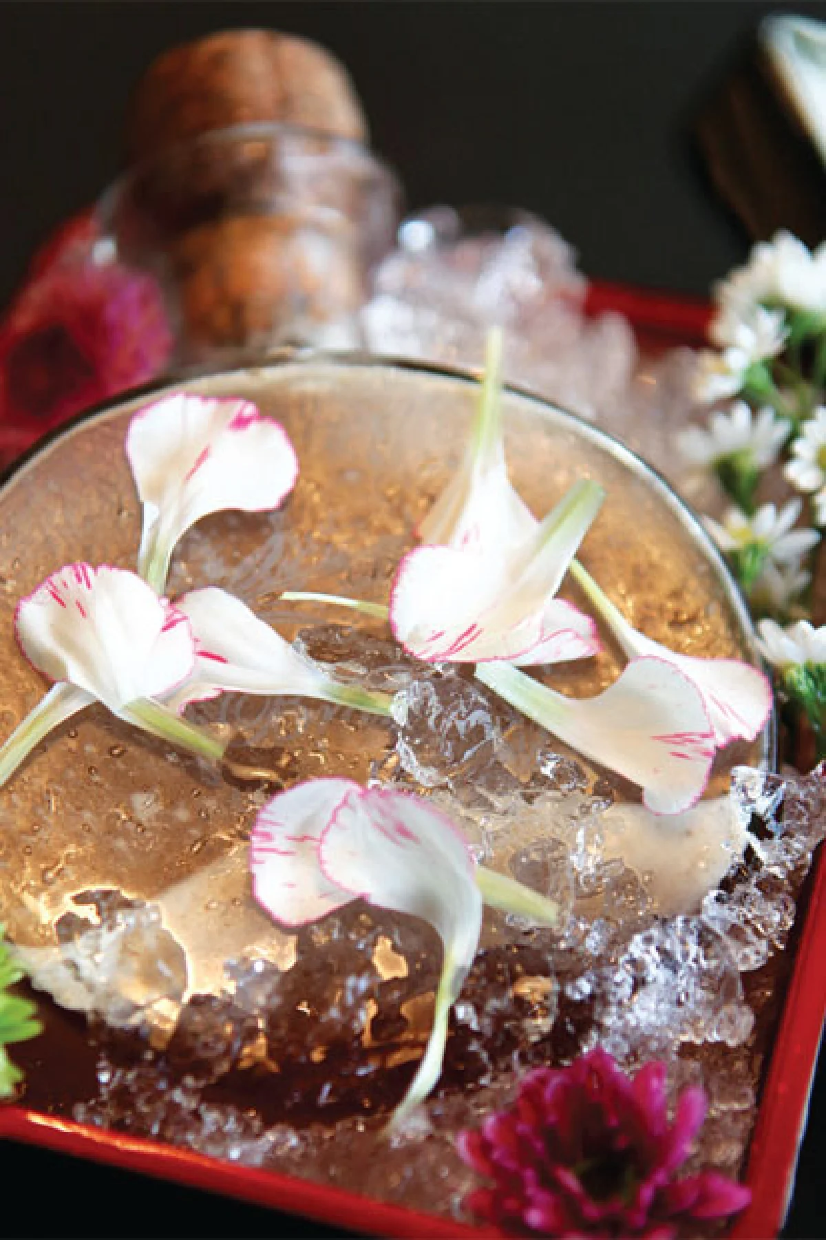8 Owls ญี่ปุ่นลูกผสม