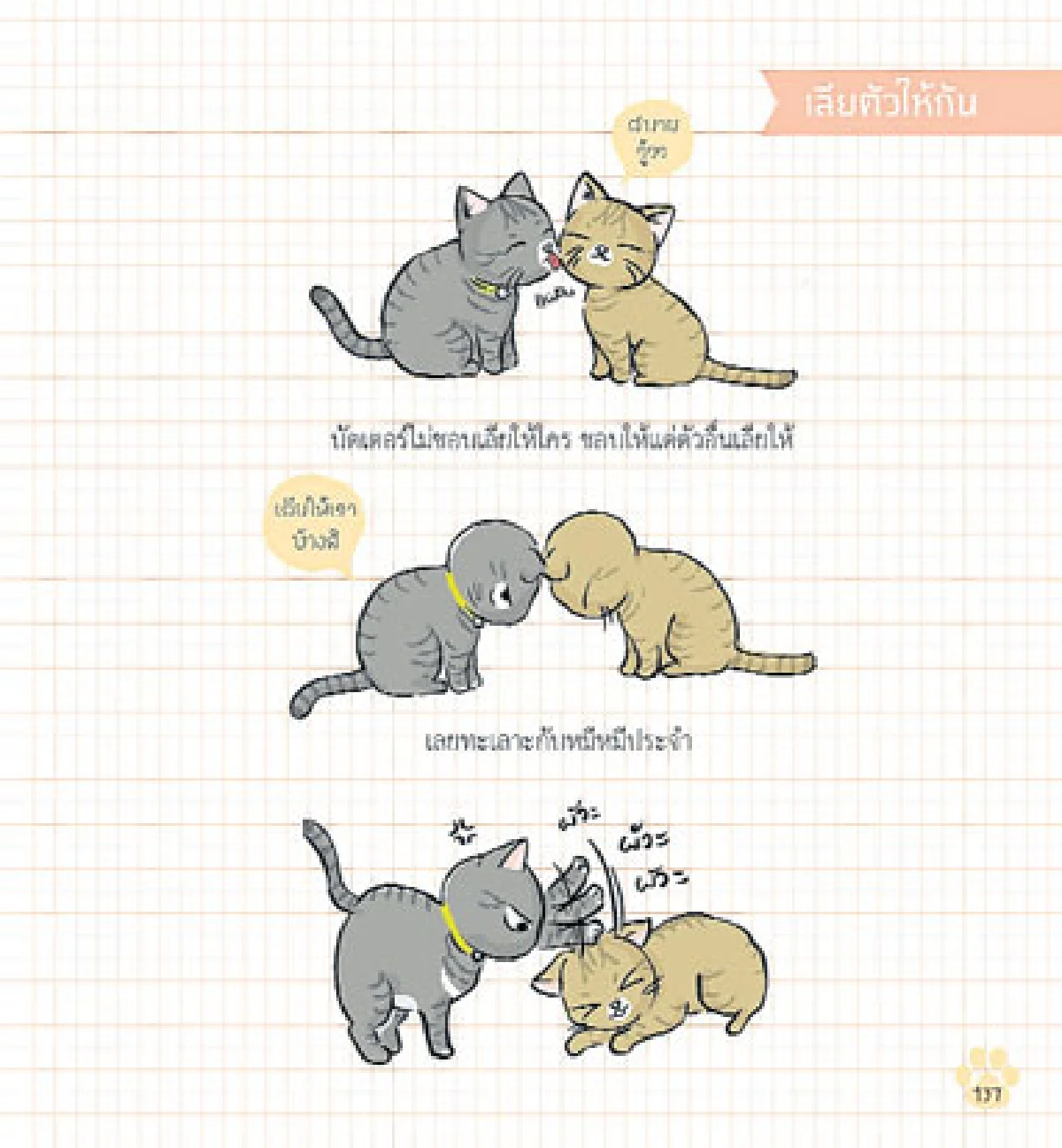 สิ่งดีๆ ที่ได้จาก...หนังสือแมว