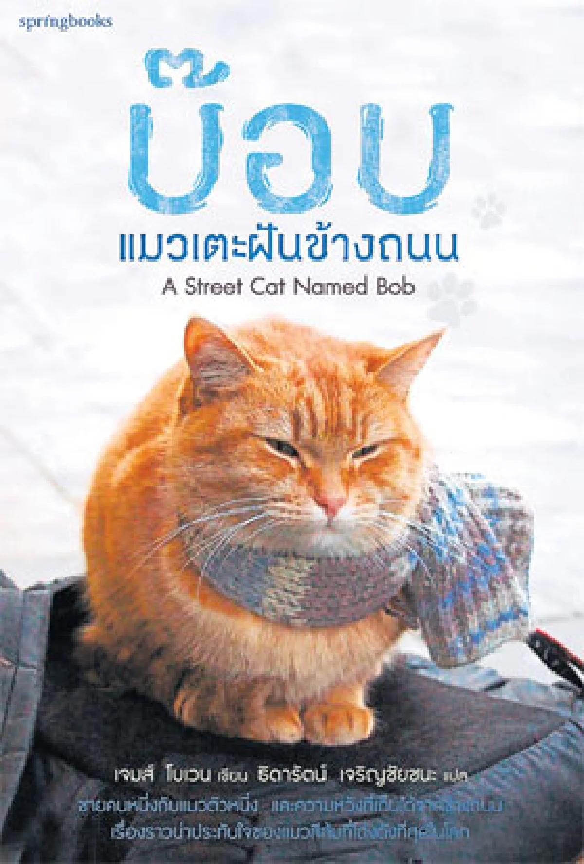 สิ่งดีๆ ที่ได้จาก...หนังสือแมว