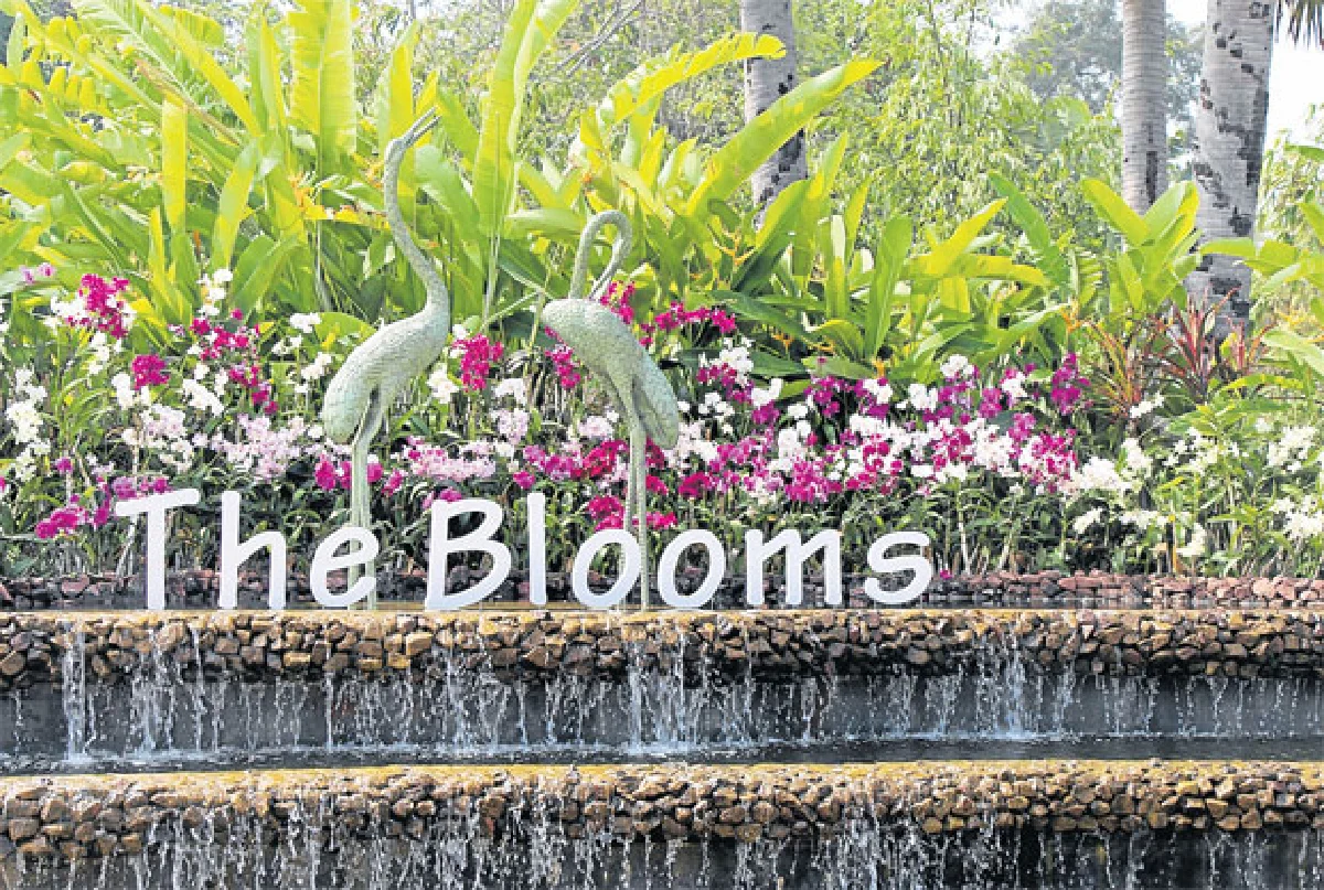 เดอะบลูมส์ ออร์คิด ปาร์ค อลังการอุทยานกล้วยไม้