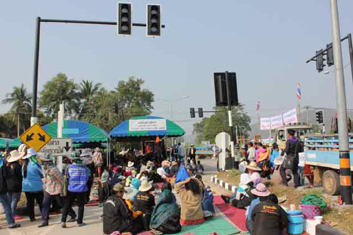 ม็อบชาวนาปิดถนนสาย11เป็นวันที่ 2 ม็อบชาวนาปิดถนนสาย11เป็นวันที่ 2