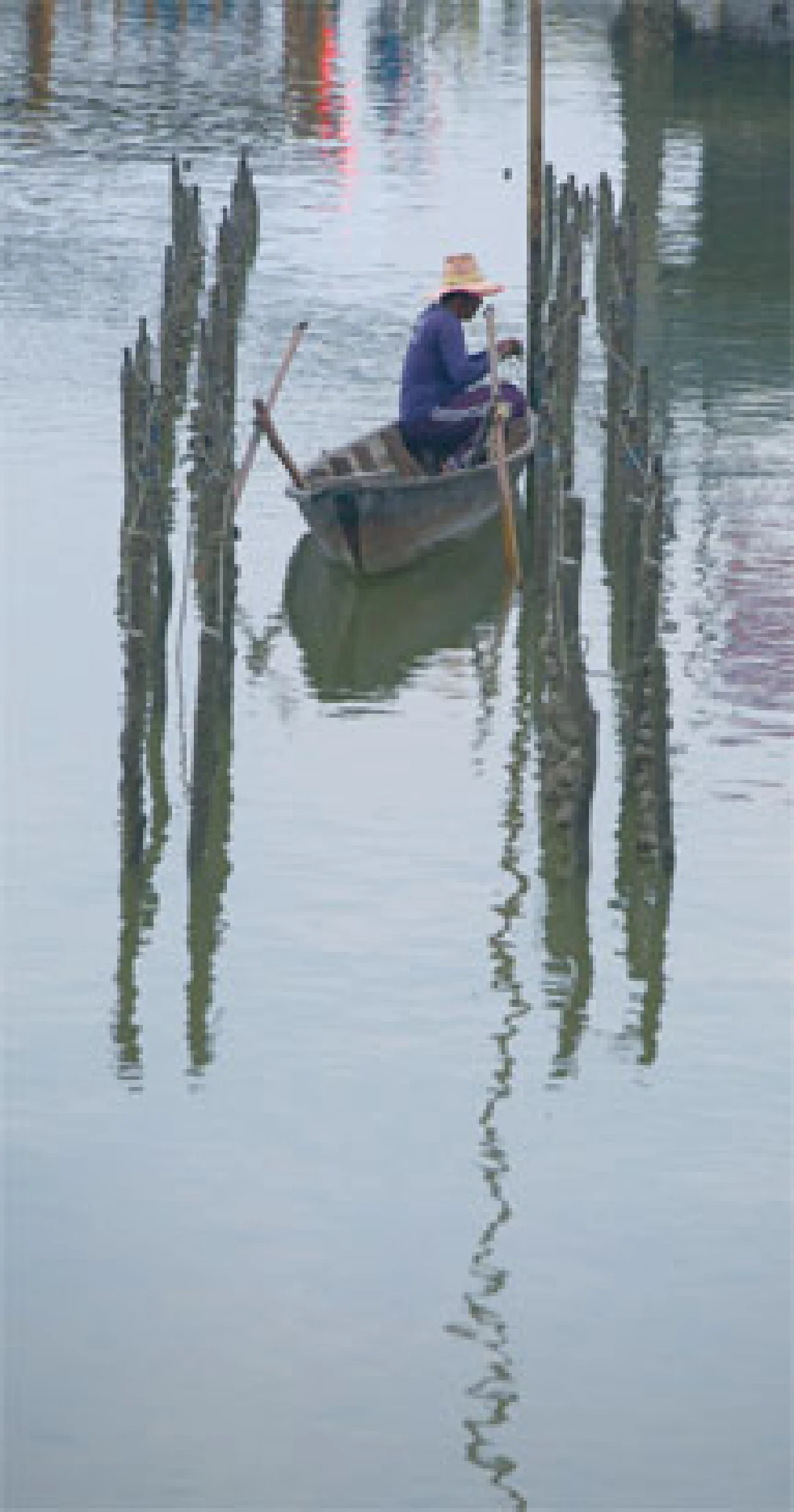 ฟาร์มหอยนางรม