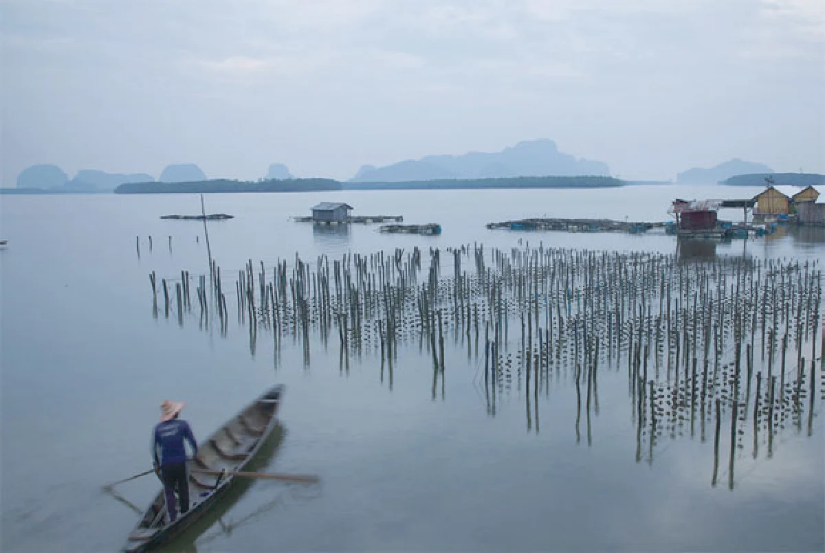 ฟาร์มหอยนางรม