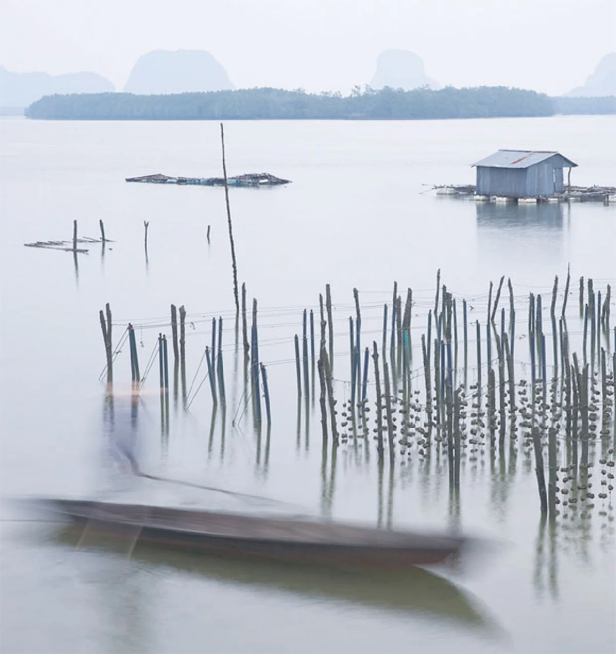 ฟาร์มหอยนางรม