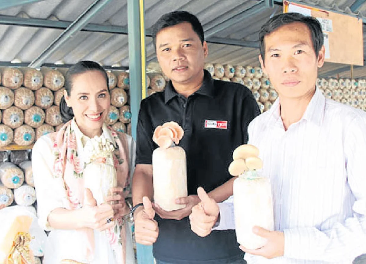 กระท่อมเห็ดทำเงินอาชีพเสริมของคนเช่างฝัน