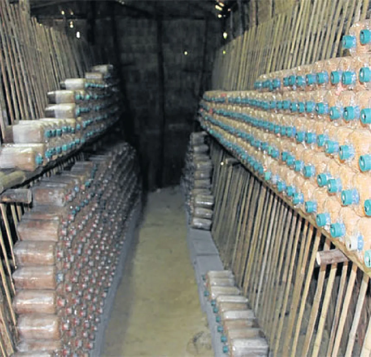 กระท่อมเห็ดทำเงินอาชีพเสริมของคนเช่างฝัน