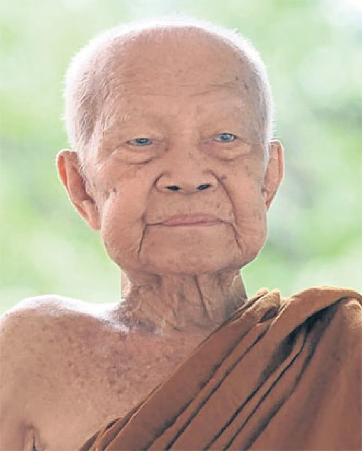 หลวงพ่อสมคิด อจโล จากใบไม้ร่วง ถึงน้ำตาร่วง