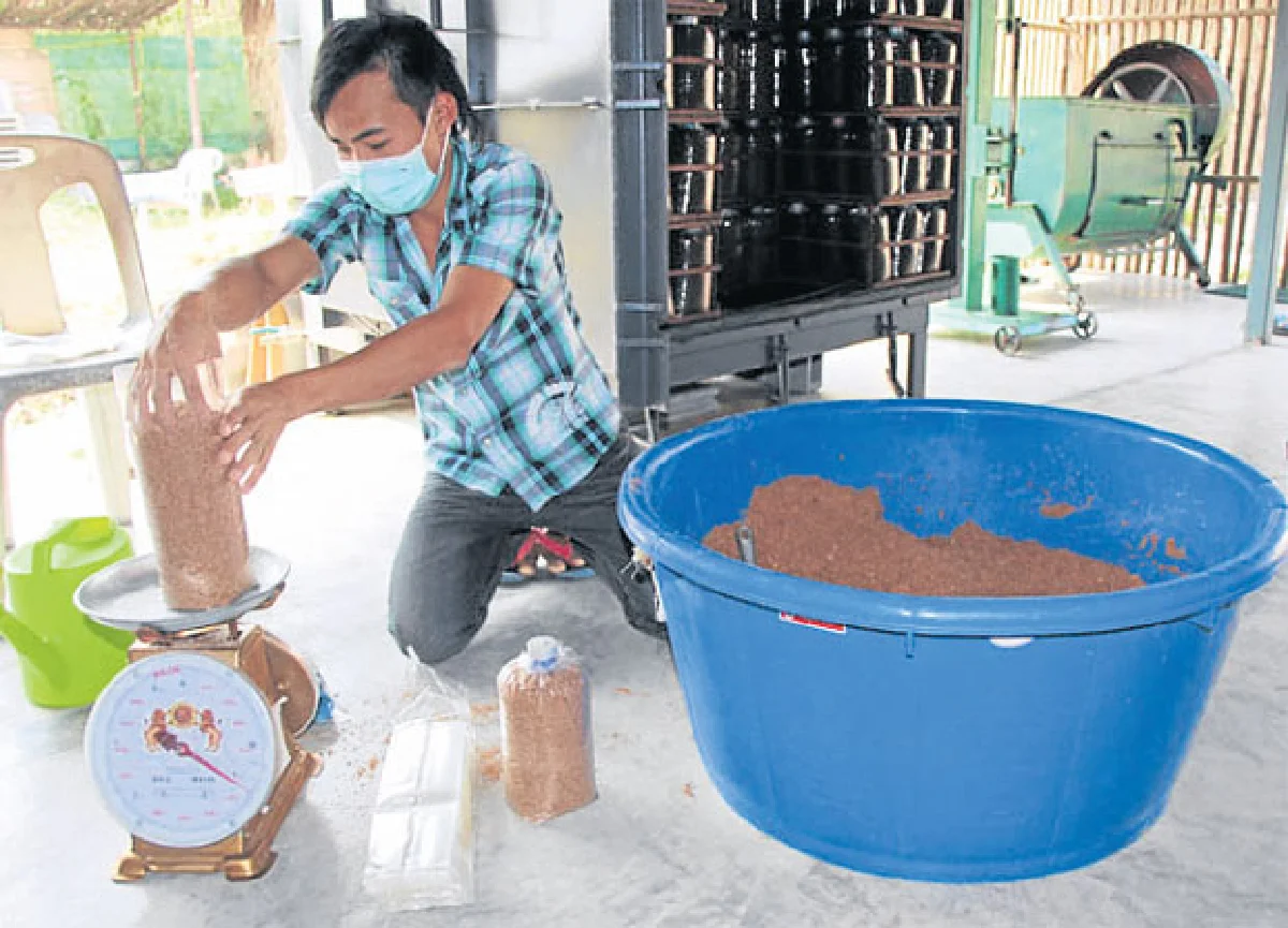 กระท่อมเห็ดทำเงินอาชีพเสริมของคนเช่างฝัน