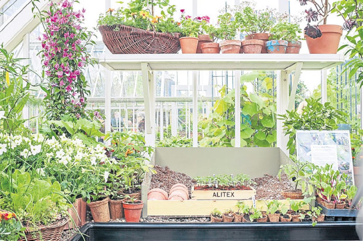 รักจะเป็น Plant Mania แต่กลับเป็น Phobia (9vo1) รักจะเป็น Plant Mania แต่กลับเป็น Phobia (9vo1)