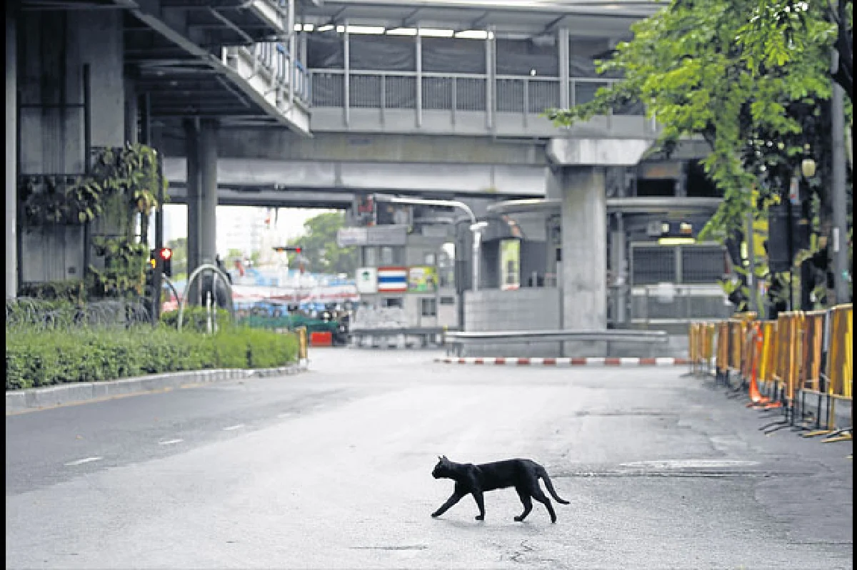 The ? sometime dangerous ? lives of news photographers