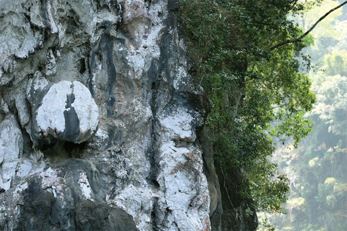 ปีศาจเขากาโรส & เพื่อนมนุษย์ต่างดาว