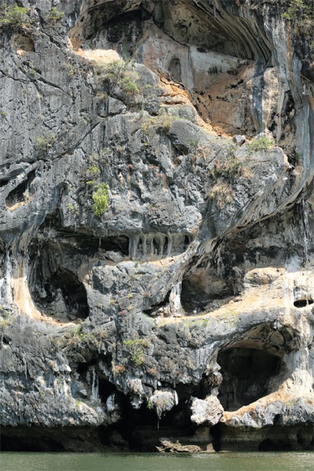 ปีศาจเขากาโรส & เพื่อนมนุษย์ต่างดาว