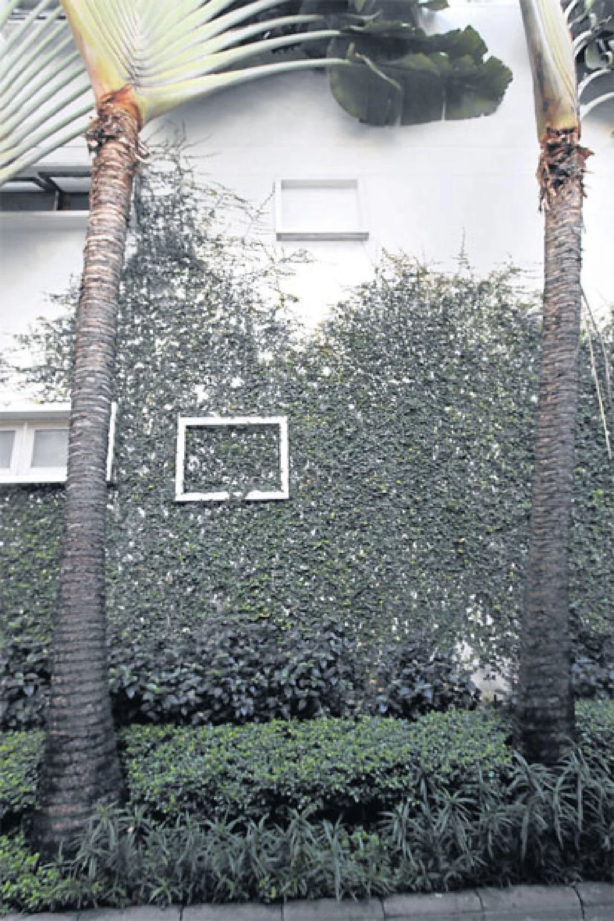 ปืน สธน กับบ้านรัมภาลัยใจกลางกรุง