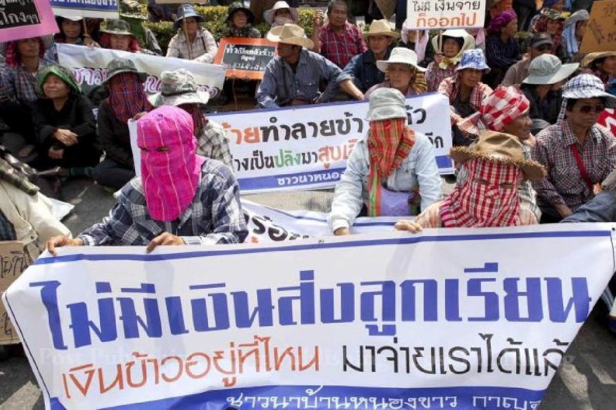 ผ่าทางตันจำนำข้าว!ช่วยชาวนาต้องไม่ฝ่ากม. ผ่าทางตันจำนำข้าว!ช่วยชาวนาต้องไม่ฝ่ากม.