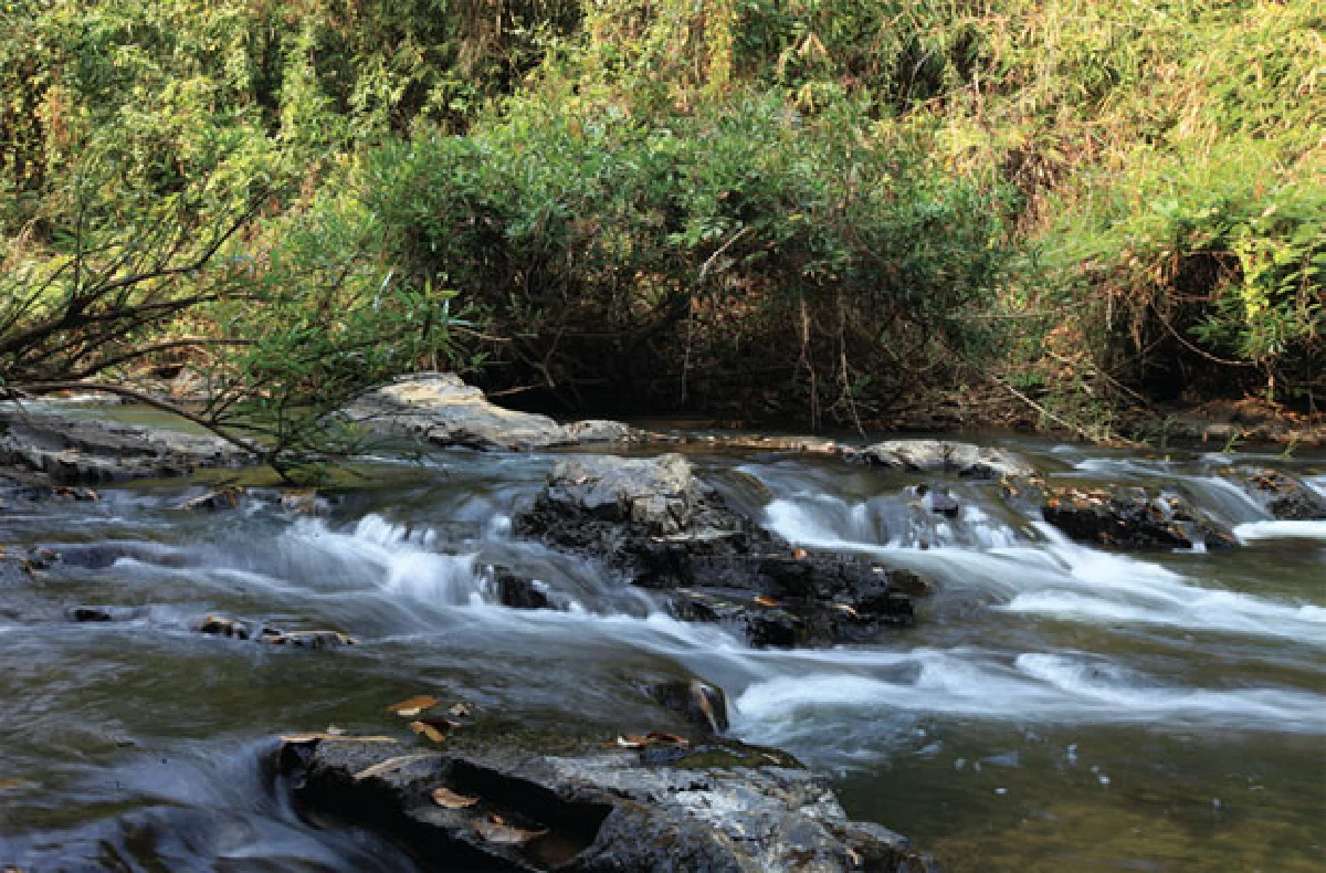 แม่โขงสามชั้น วังพญานาค