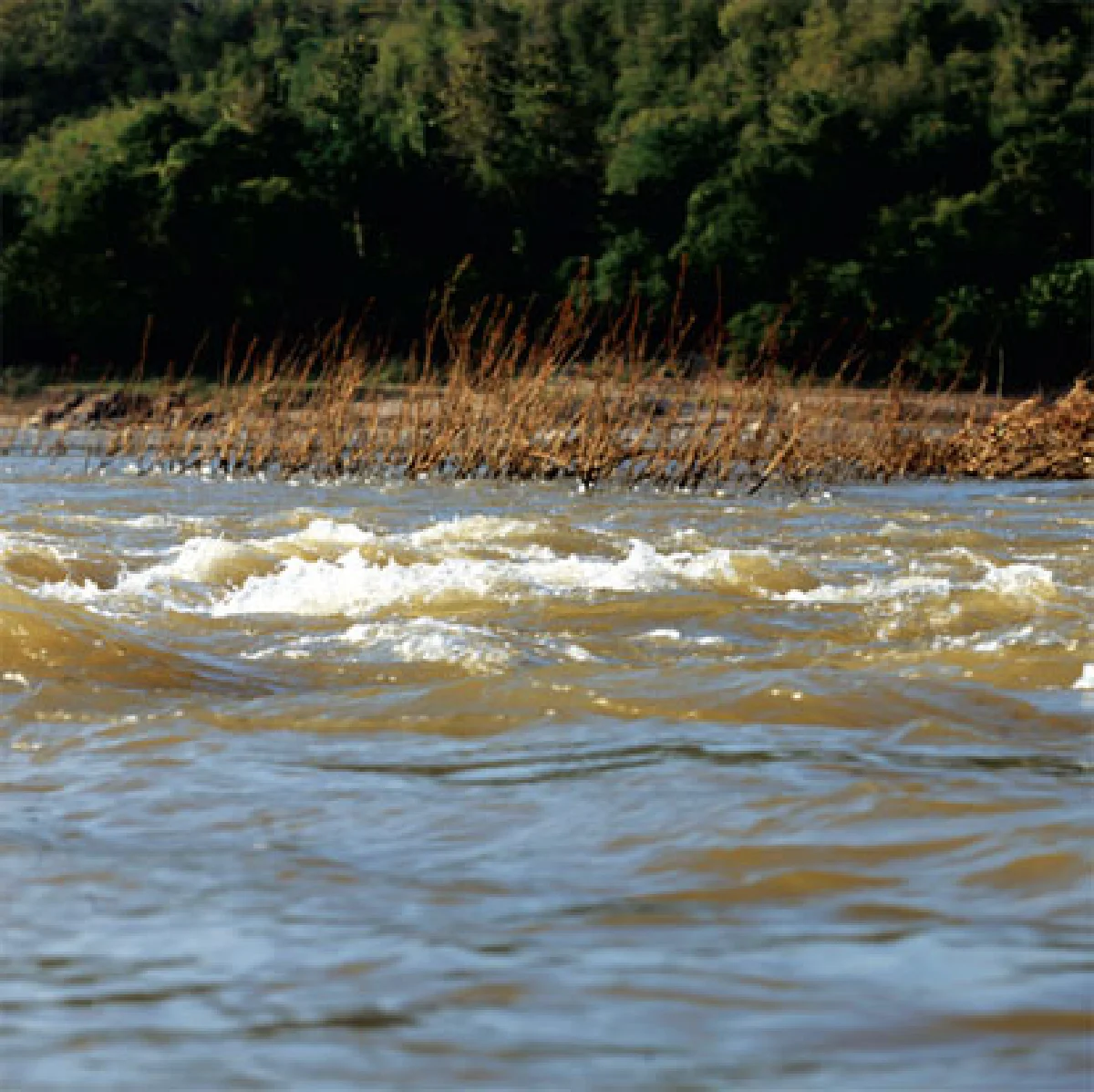 แม่โขงสามชั้น วังพญานาค
